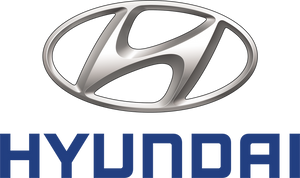 Genuine Hyundai i20N MY20 LHS Front Bumper Unpainted Moulding P/N: 865A1 CO000